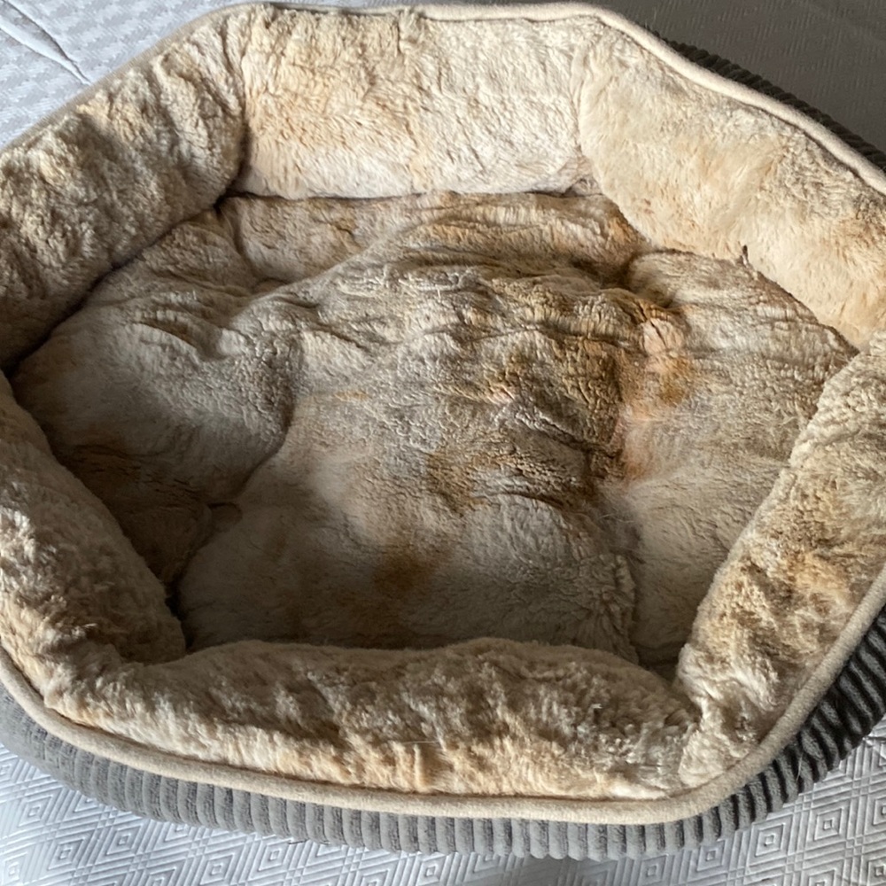 Cozy Pet Bed